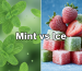 Visual comparison of fresh mint leaves versus frozen fruit to illustrate Mint vs Ice vape flavours.